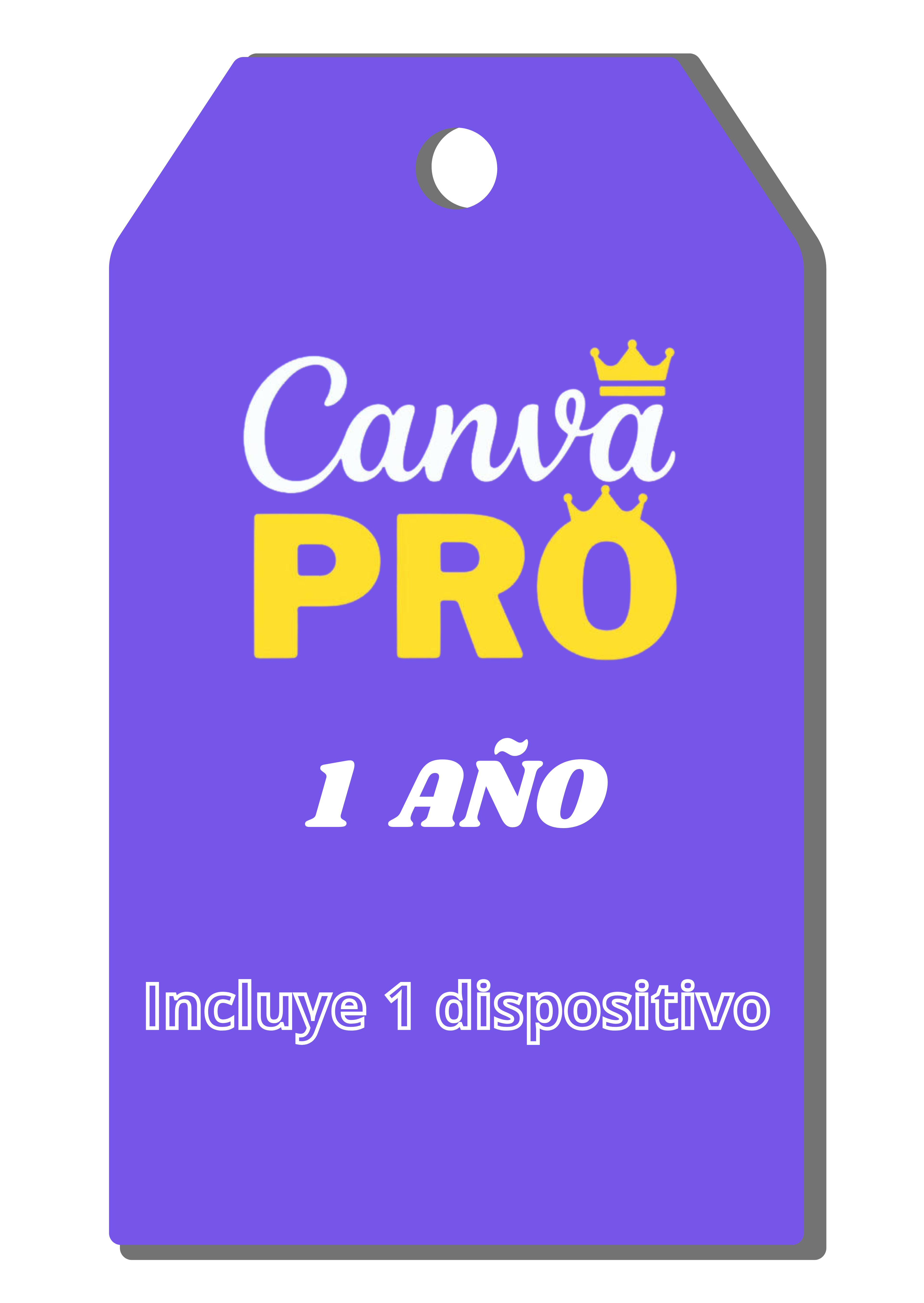 CANVA PRO