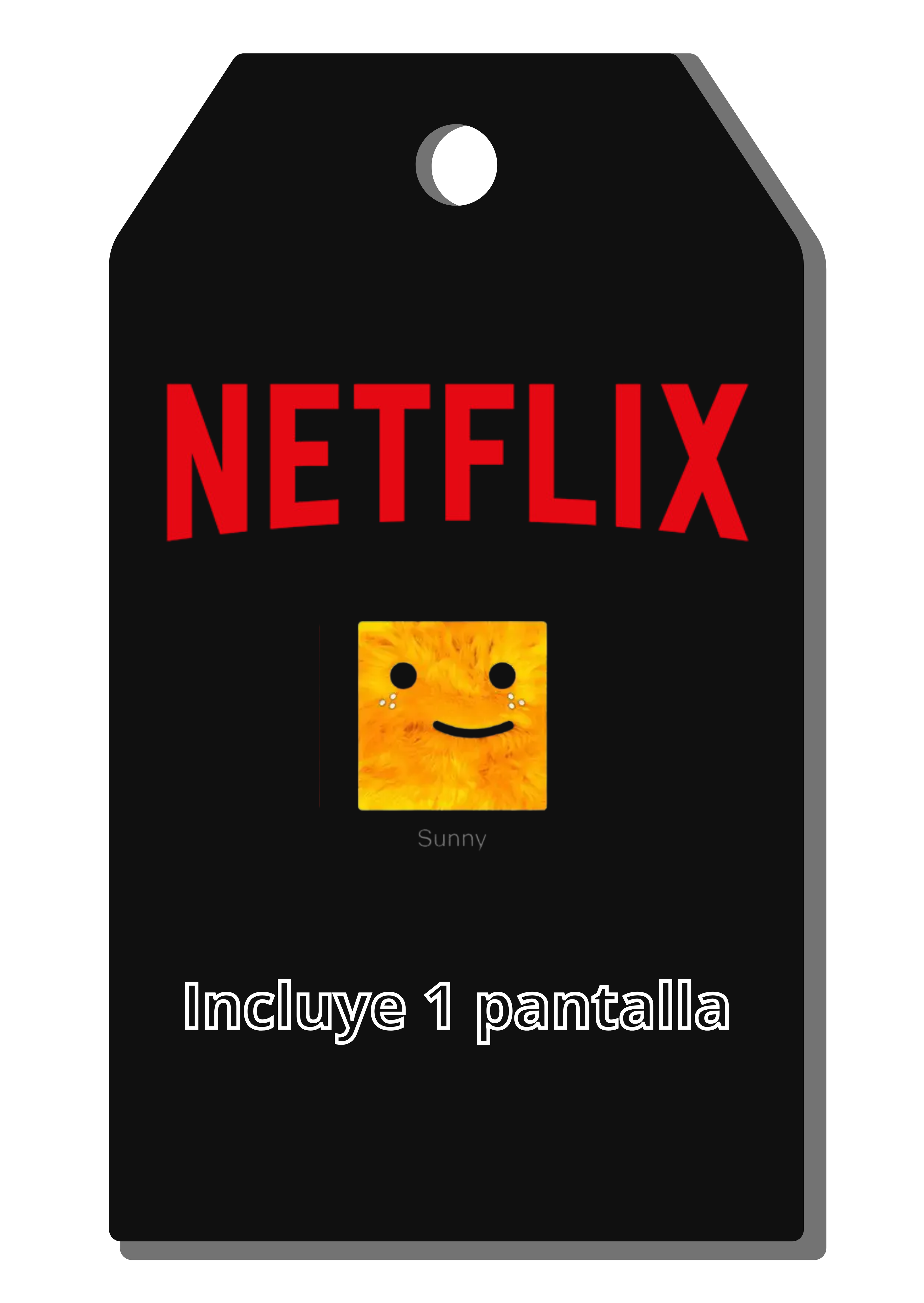 Netflix Individual