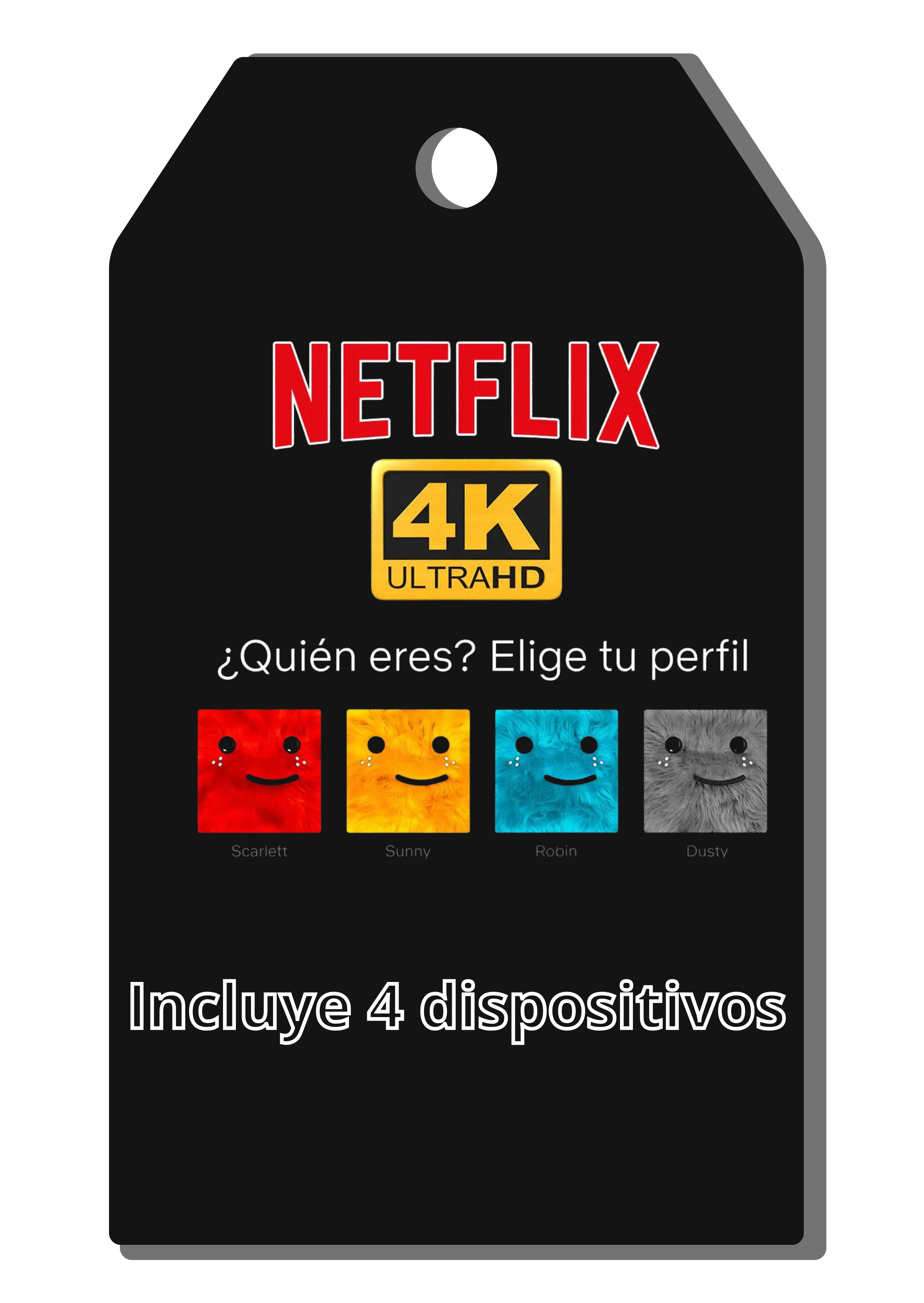 Netflix Familiar 4K