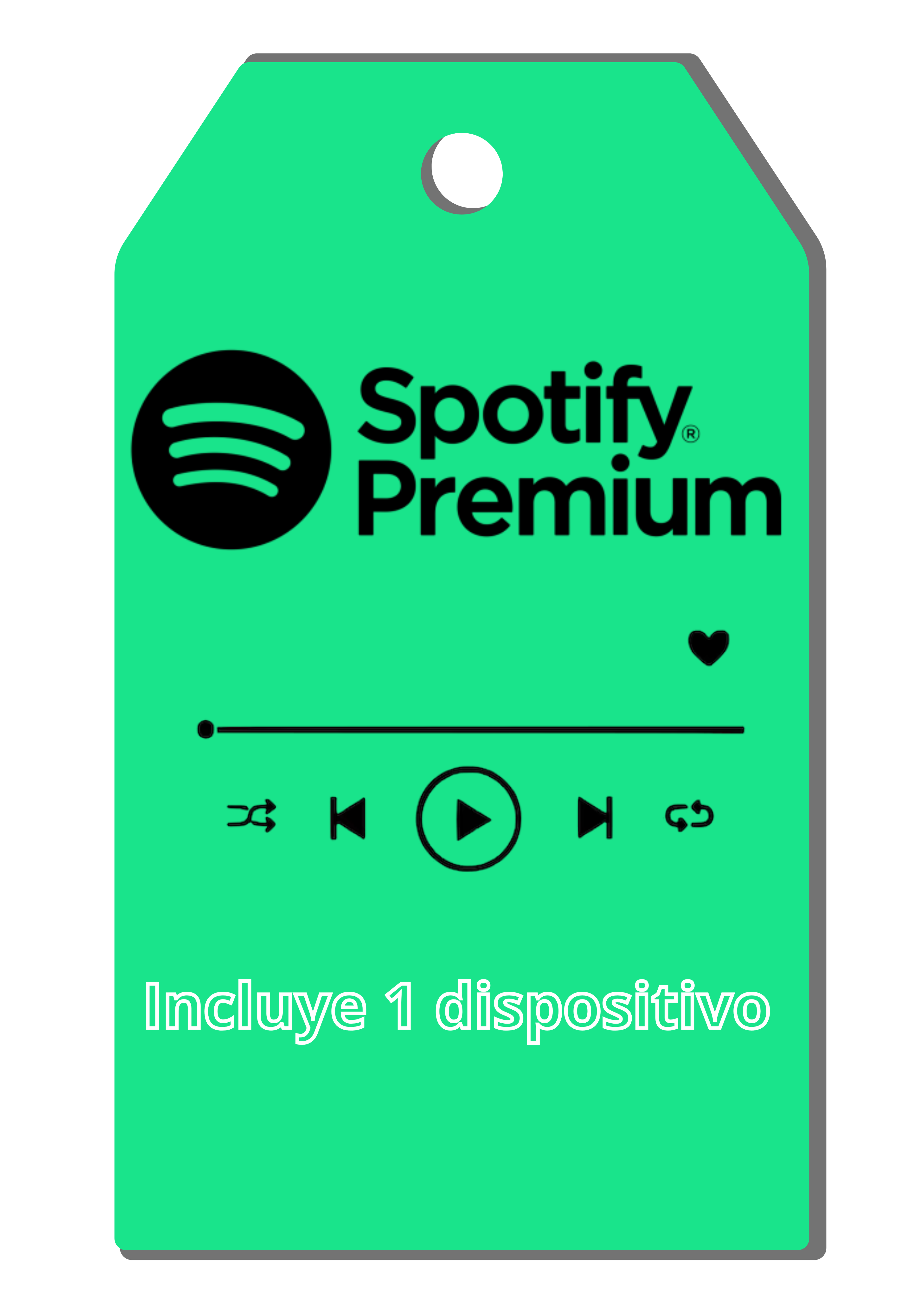 Spotify individual