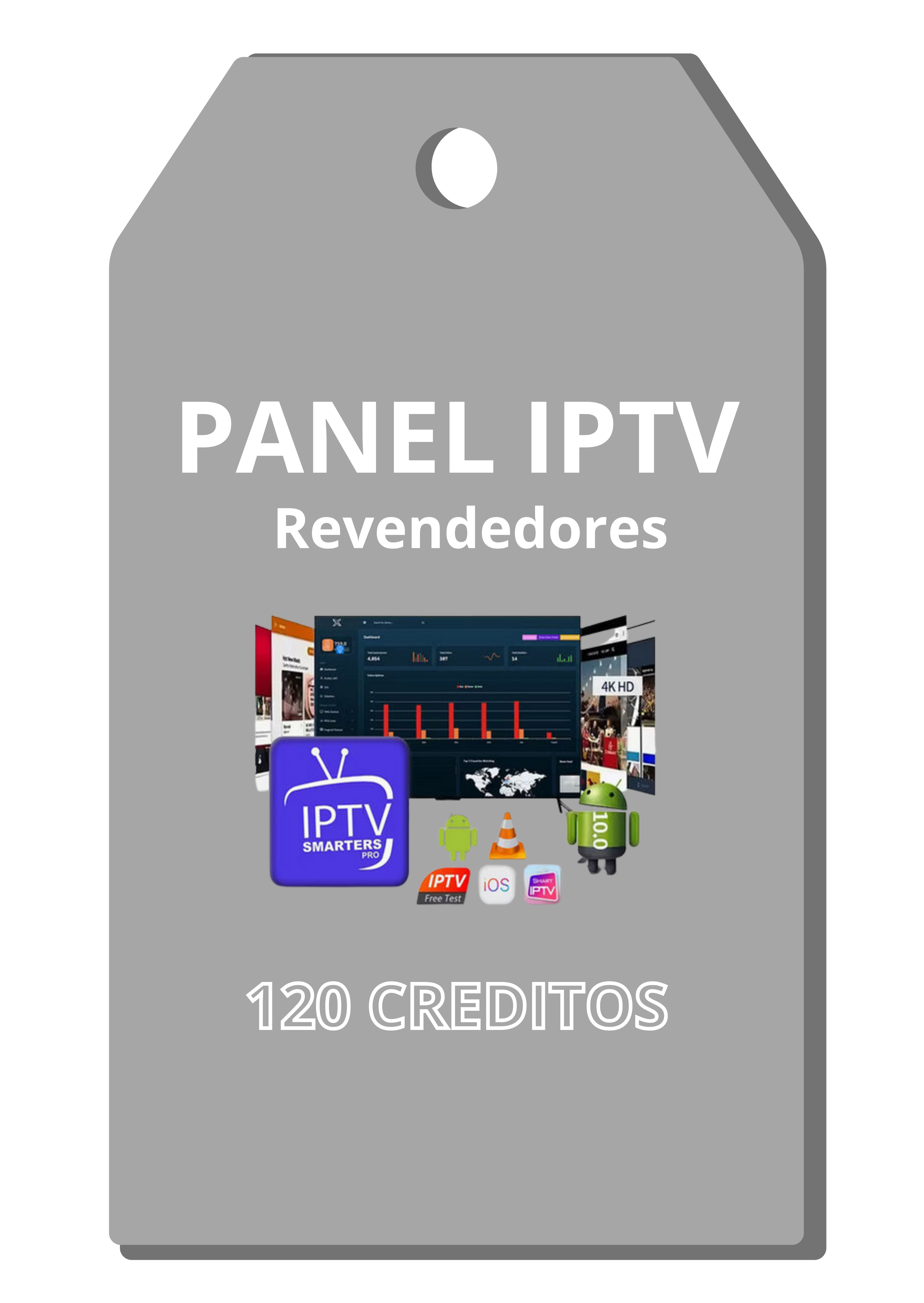 PANEL IPTV